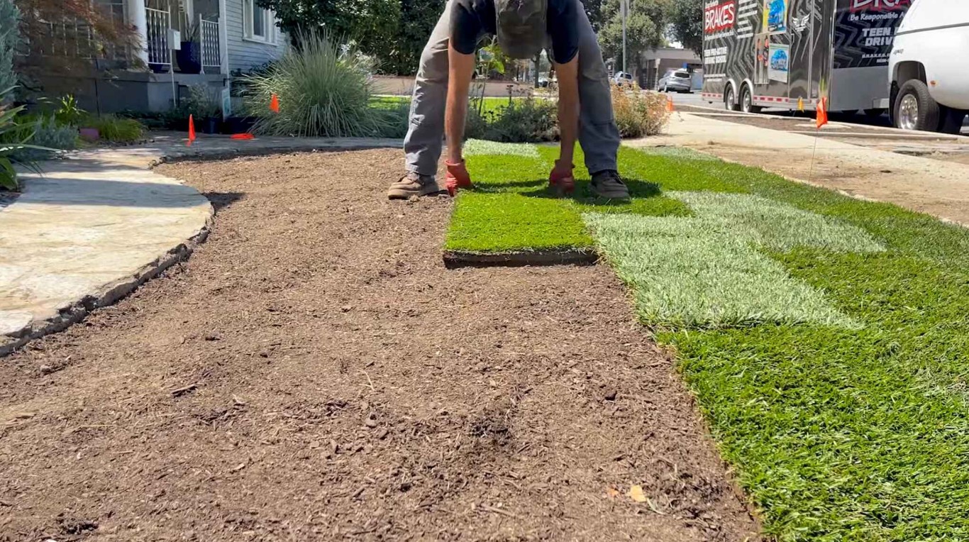 Professional sod installation creating instant lush green lawns in Portsmouth, VA
